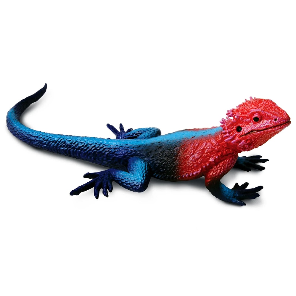 Safari, Toys & Figurines, Gifts, 641205, Mwanza Flat Headed Rock Agama